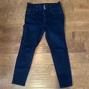 Ann Taylor Women's The Slim Dark Blue Skinny Jeans